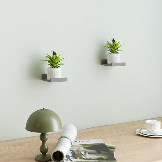 Small Floating Shelves for Wall Decor, Wall Mounted Wood Shelf for Bedroom, Living Room, Bathroom, Kitchen, Nursery, Mini Display Ledge Shelf with Lip Set of 2-4 Inches, Grey