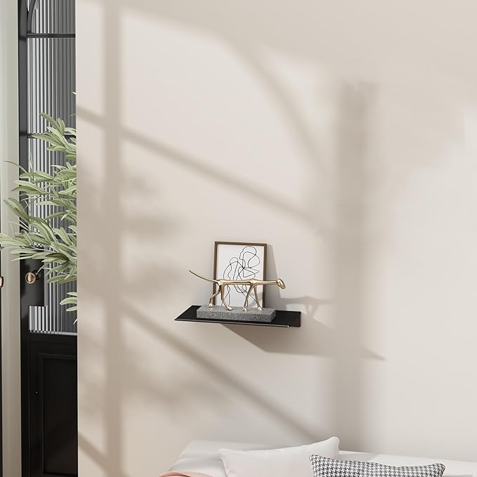 Danpoo 8 inch Small Floating Shelf for Wall Organizer & Storage, Mini Display Shelf, Metal Wall Shelf for Bathroom, Living Room, Kitchen, Bedroom(Matte Black)