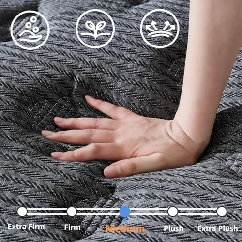Queen Mattress, 14 Inch Hybrid Queen Size Mattress, Medium Firm