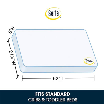Delta Children Abby Convertible Crib 'N' Changer, Grey + Serta Perfect Slumber Dual Sided Recycled Fiber Core Crib and Toddler Mattress (Bundle)