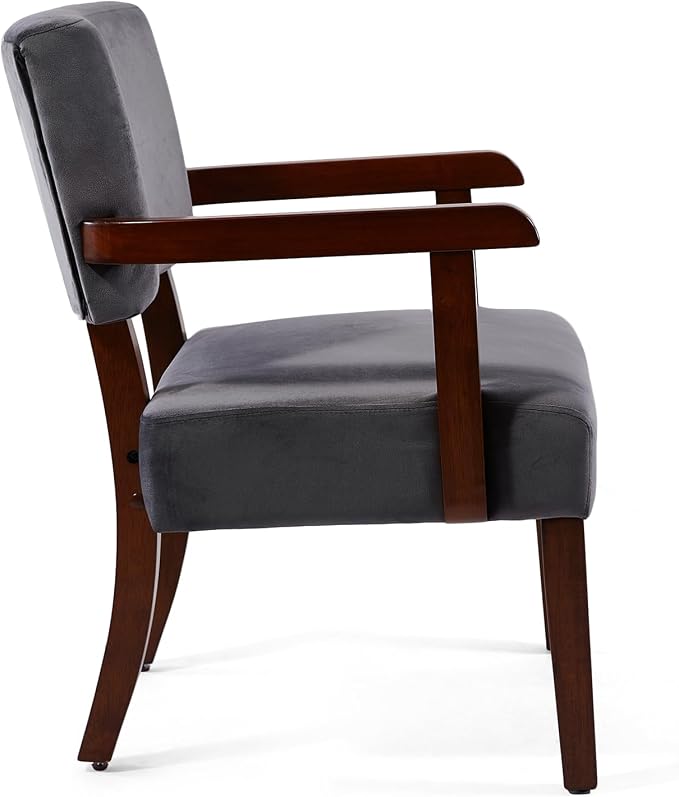FAGAGA Modern Accent Chair, Upholstered Living Room Chairs with Wood Frame, Oversized Reading Armchair for Bedroom Waiting Room