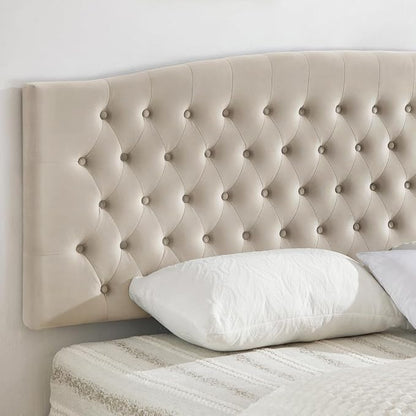 24KF Upholstered Tufted Button Velvet Wall Mounted Headboard,Comfortable Fashional Headboard King/CA King Size, 6058-K-Taupe