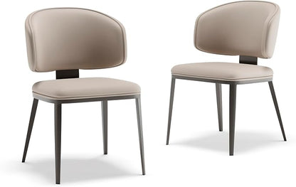 Dining Chairs Modern High Backrest Comfortable, Fashion Upholstered Kitchen Chair Armless Dinner Chair with Metal Legs for All Rooms (Light Grey, Set of 2)