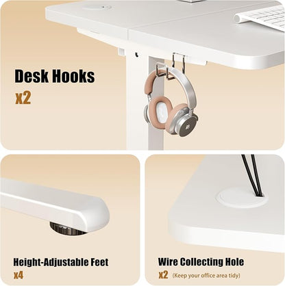 ERGOMAKER Electric Standing Desk, 31.5" x 23.6" Height Adjustable Sit Stand Desk with Splice Board for Home Office, Computer Desk Memory Preset (White Frame, White Desktop)