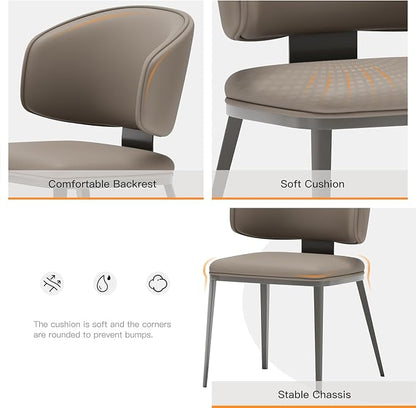 Dining Chairs Modern High Backrest Comfortable, Fashion Upholstered Kitchen Chair Armless Dinner Chair with Metal Legs for All Rooms (Milk Coffee, Set of 2)