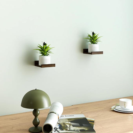 Small Floating Shelves for Wall Decor, Wall Mounted Wood Shelf for Bedroom, Living Room, Bathroom, Kitchen, Nursery, Mini Display Ledge Shelf with Lip Set of 2-4 Inches, Walnut