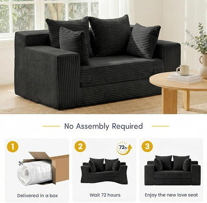 cidludto Boneless Couch Loveseat Sleeper, Convertible Sofa Bed Folding Couch Bed Foldable, 2 in 1 Boneless Chair Bed & Futon Sofa Bed, Small Pull Out Sofa with 4 Pillows for Living Room, Black