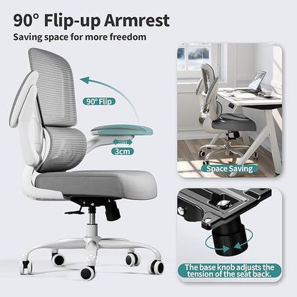 TRALT Office Chair - Ergonomic Desk Chair with Adjustable Lumbar Support, Mesh Computer Chair, Executive Chairs for Home Office Comfortable Lumbar Support (Ash Gray)