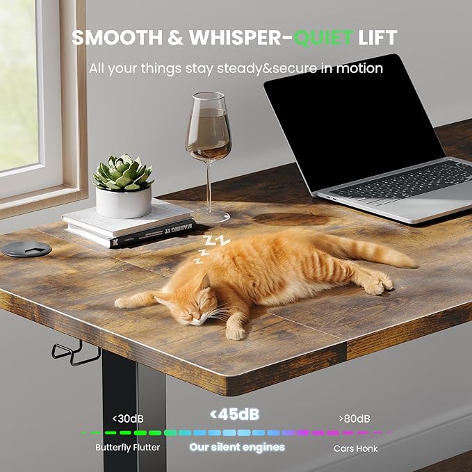 Electric Standing Desk Adjustable - 48 x 24 Inch Sit Stand up Desk with Cable Management - 3 Memory Preset Adjustable Height Table