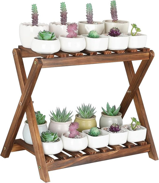 Small Plant Stand Shelf Indoor 2 Tier Desk Table Top Flower Succulent Stand | Wood Windowsill Plant Shelf Holder Desktop Mini Cactus Stands Rack for Kitchen,Window,Countertop (X-2 Design)