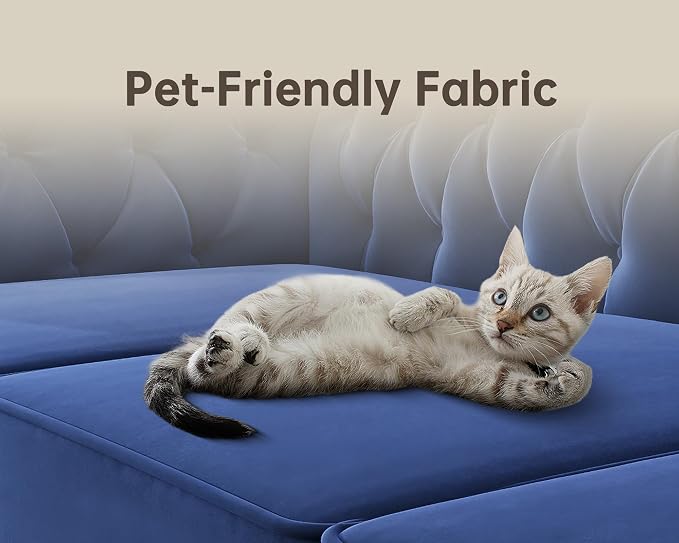 Morden Fort Classic Chesterfield Sofa Chair Set, Tufted Arm Chair Sofa with Solid Wood Legs Thick Cushion, Pet-Friendly Sofa Couch Chair for Living Room Bedroom Reading Room - Velvet Blue
