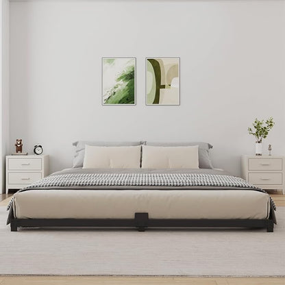 3 Inch Low Profile Queen Size Bed Frame, Noise-Free Heavy Duty Metal Platform with Mattress Stopper, No Box Spring Needed, Easy Assembly Steel Support, Black