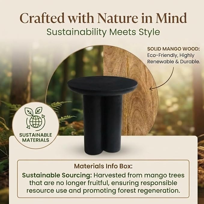 Relso Gaia Round End Table for Living Room and Bedroom, Solid Mango Wood Side Table or Nightstand, Black Finish, Compact Rustic Design, Boho Modern Farmhouse Style