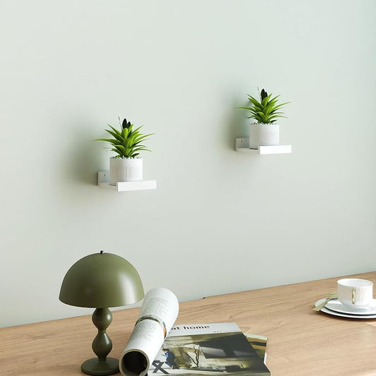 Small White Floating Shelves for Wall Decor, Wall Mounted Wood Shelf for Bedroom, Living Room, Bathroom, Kitchen, Nursery, Mini Display Ledge Shelf with Lip Set of 2-4 Inches, White