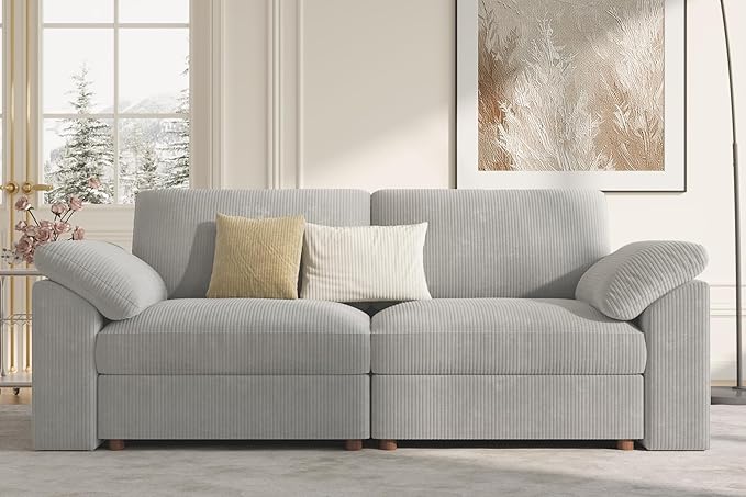 EASE MOOSE Comfty Modern Loveseat Couch, Modern Deep Seat Sectional 2 Seat Modular Sofa for Living Room,Light Gray