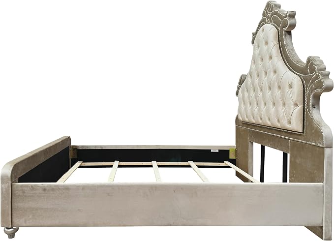 Acme Lucienne Velvet Upholstered Queen Bed with LED in Beige