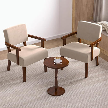 FAGAGA Accent Chair, Cat-Scratch Velvet Living Room Chairs Oversize with Soft Seat and Armrests for Dinning Room Bedroom Reading Room Waiting Room