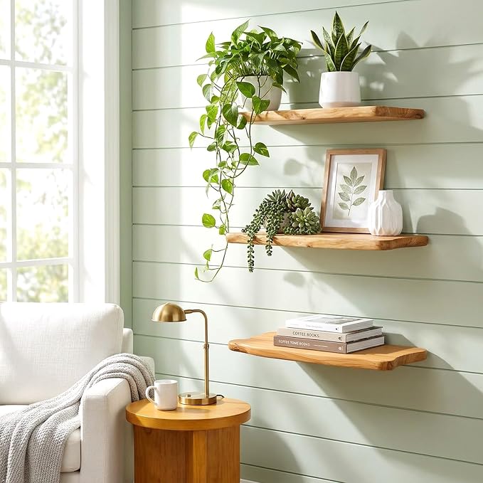 WELLAND 16" Live Edge Cedar Floating Shelves, Set of 2 | Each shelf measures approximately 15.75" W × 7.87" D × 1.25" H, ideal for displaying plants, book and decorative accents