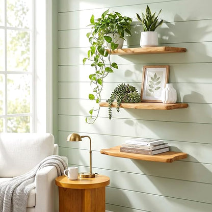 WELLAND 16" Live Edge Cedar Floating Shelves, Set of 2 | Each shelf measures approximately 15.75" W × 7.87" D × 1.25" H, ideal for displaying plants, book and decorative accents