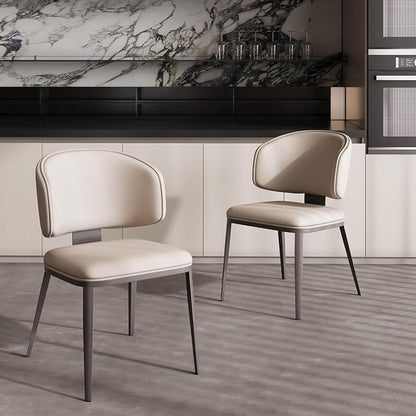 Dining Chairs Modern High Backrest Comfortable, Fashion Upholstered Kitchen Chair Armless Dinner Chair with Metal Legs for All Rooms (Light Grey, Set of 2)
