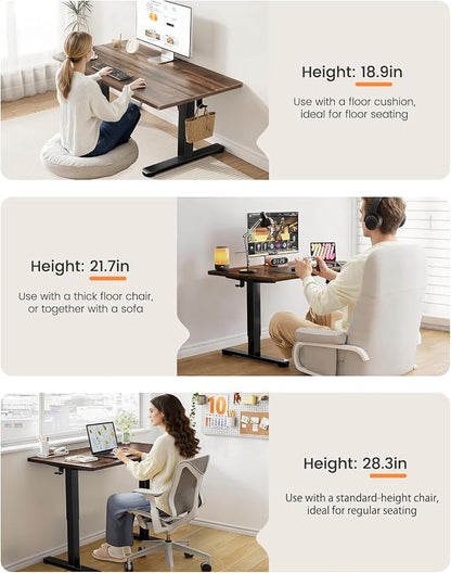 ErGear Low Height Adjustable Desk, Lifts 18.9-28.4 Inches, 40 X 24 Inches Electric Standing Desk for Kids, 4 Height Memory Settings & Storage Hooks, Home Office Computer Table & Study Desk, Walnut