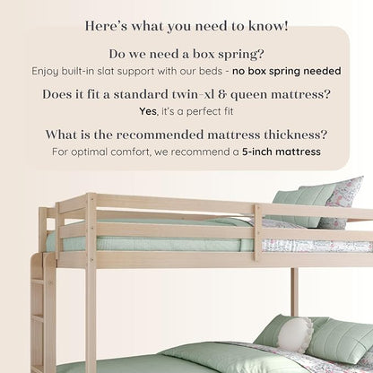 Grain & Grove Bear Twin XL Over Queen Bunk Bed, Sturdy Bunk Bed Frame for Kids, Plywood Bunk with Ladder, Guardrail, and Slats, No Box Spring Required, Oak Embossed Natural