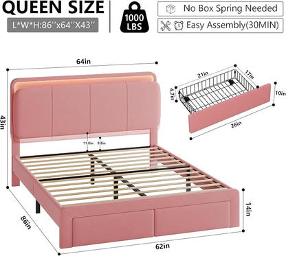 Feonase Queen Upholstered Bed Frame with Headboard and 2 Storage Drawers, Built-in Charging Station, Velvet Platform LED Bed with Solid Wood Slat Support, No Box Spring Needed, Pink
