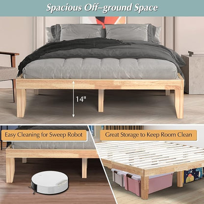 COSTWAY Queen Size Platform Bed Frame, 14 Inches Solid Rubber Wood Bed Mattress Foundation with Sturdy Slats Support, Easy Assembly Bed Frame for Home Hotel, No Box Spring Needed (Natural, Queen)