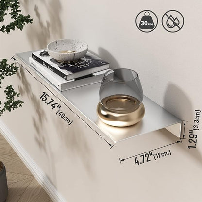 Danpoo 16 inch Floating Shelf for Wall Organizer & Storage, Display Shelf, Metal Wall Shelf for Bathroom, Living Room, Kitchen, Bedroom(Silver)