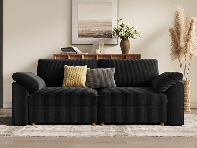 EASE MOOSE Comfty 2 Seat Couch, Modern Deep Seat Sectional Modular for Living Room,Black