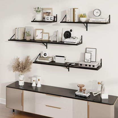 Axeman Deep Floating Shelves | 20 Inch Black Wall Shelves Set of 2 | 10 Inch Deep Rustic Wood Shelves for Wall | 20'' W x 10''D Black Shelves for Living Room Bathroom Kitchen