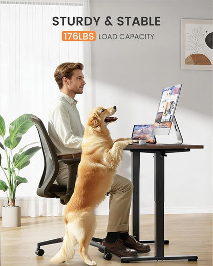 ErGear Low Height Adjustable Desk, Lifts 18.9-28.4 Inches, 48 X 24 Inches Electric Standing Desk for Kids, 4 Height Memory Settings & Storage Hooks, Home Office Computer Table & Study Desk, Walnut