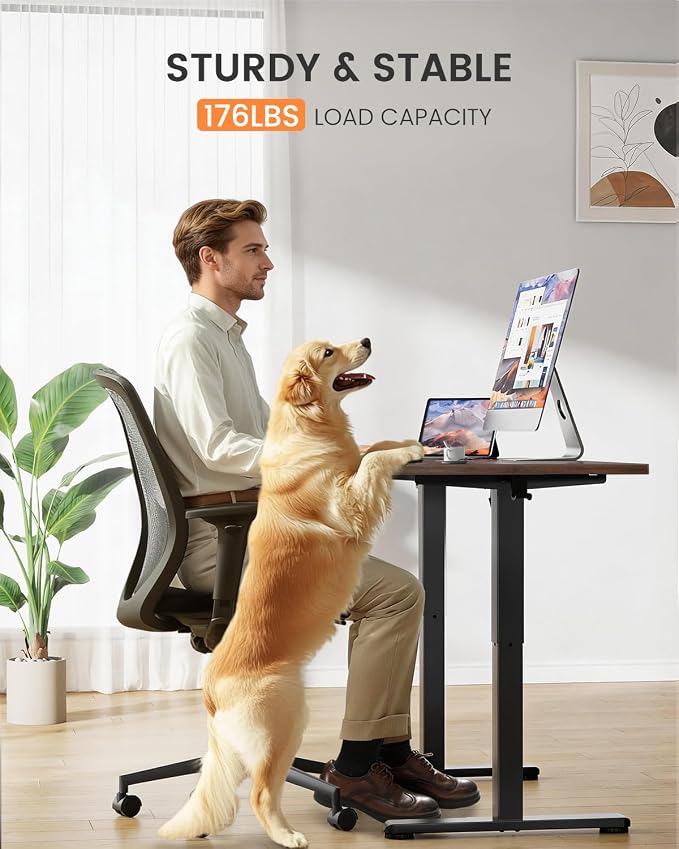 ErGear Low Height Adjustable Desk, Lifts 18.9-28.4 Inches, 40 X 24 Inches Electric Standing Desk for Kids, 4 Height Memory Settings & Storage Hooks, Home Office Computer Table & Study Desk, Walnut