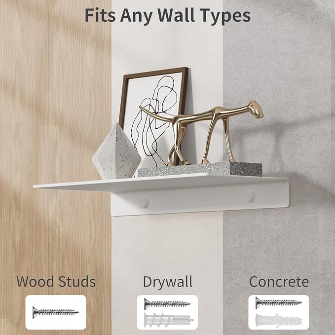 Danpoo 12 inch White Metal Wall Shelf Small Floating Shelf for Wall Organizer & Storage, Display Shelf for Bathroom, Living Room, Kitchen, Bedroom