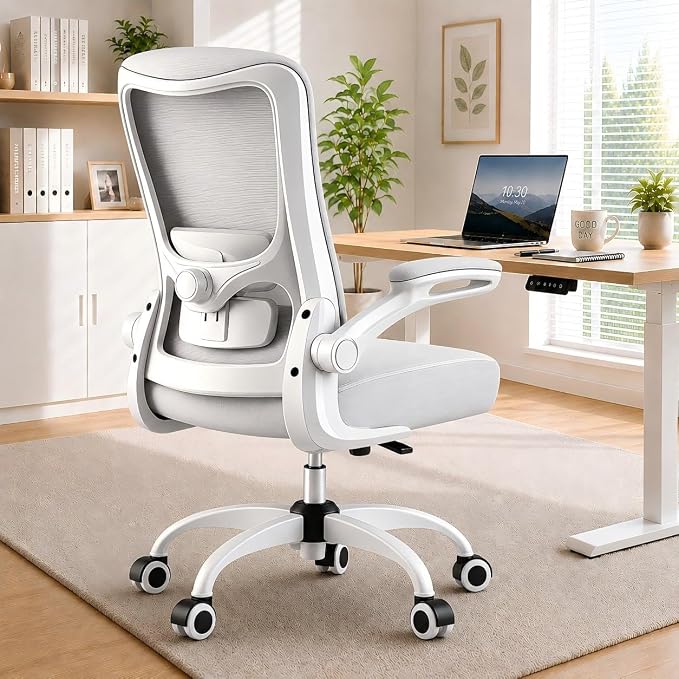 Ergonomic Office Chair for Long Hours, Padded Lumbar Support for Lower Back Relief, 330 lb Capacity, Comfortable Computer Desk Chair for Home Office, Computer & Study