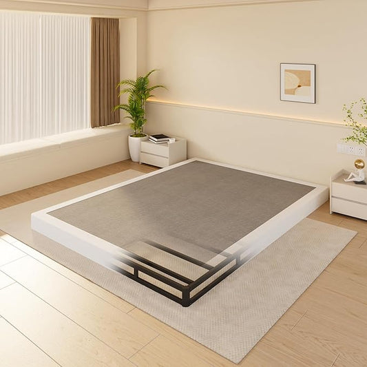 DORITRON 4 Inch Low Profile Box Spring Queen, 3000lbs Heavy Duty Queen Size Box Spring Bed Base Metal Mattress Foundation, Easy Assembly, Noise Free