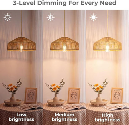 Qingmiao Boho Plug in Pendant Light, Rattan Hanging Lamp Plug in with Woven Shade, 3-Way Dimmable Hanging Light Fixture for Living Room Bedroom Kitchen Ceiling Home Decor