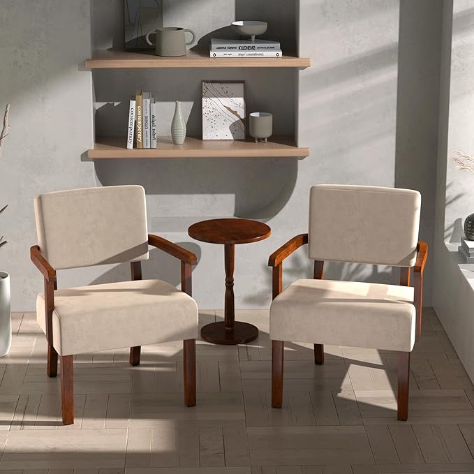 FAGAGA Accent Chair, Cat-Scratch Velvet Living Room Chairs Oversize with Soft Seat and Armrests for Dinning Room Bedroom Reading Room Waiting Room
