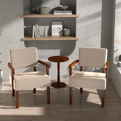 FAGAGA Accent Chair, Cat-Scratch Velvet Living Room Chairs Oversize with Soft Seat and Armrests for Dinning Room Bedroom Reading Room Waiting Room