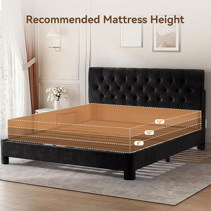Twin Size Bed Frame with Headboard, Luxury Velvet Fabric Upholstered Bed frame with Button Tufted Design, Strong Wooden Slats Support - Low & Sturdy, Noise-Free, No Box Spring, Easy Assembly, Black | Plush velvet