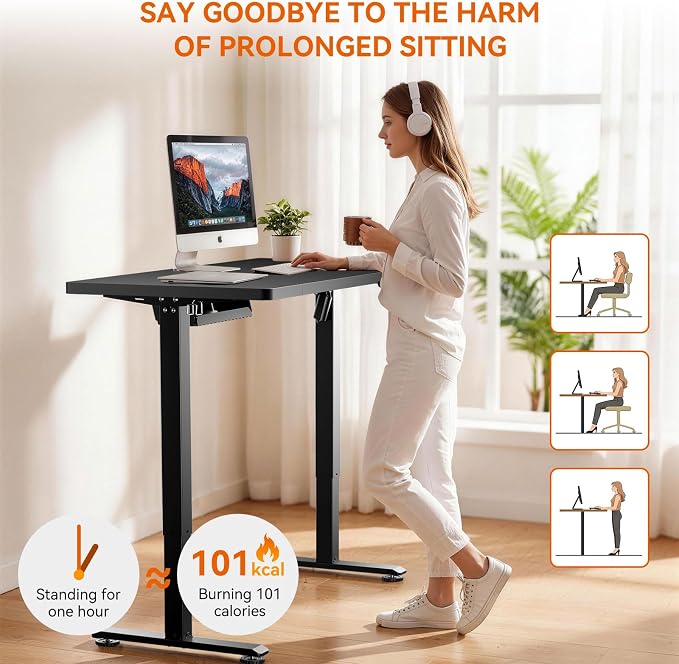 Standing Desk, 48 x 24 Inches Electric Height Adjustable Desk, Sit Stand up Desk, Memory Computer Home Office Gaming Desk with 3 Preset Heights, Wood Table Cable Management Box, Black
