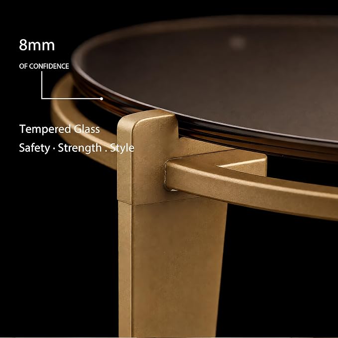 Nesting Coffee Table Set of 2, Organic Round Smoked Glass Tables with 8mm Tempered Glass, Champagne Gold Steel Frame, Sculptural Modern Accent Tables for Living Room, Apartment