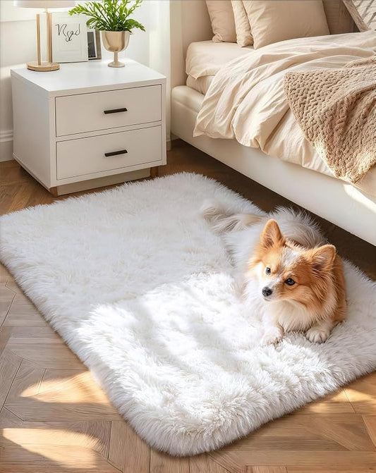 Ophanie Small Rug Washable Non Slip Throw Bedside Area Rugs, Fluffy Soft White Mini Bedroom Carpet, Affordable Door Entryway Indoor Inside Front Entrance Dog 2x3 Mat, Home Decor Aesthetic, Nursery