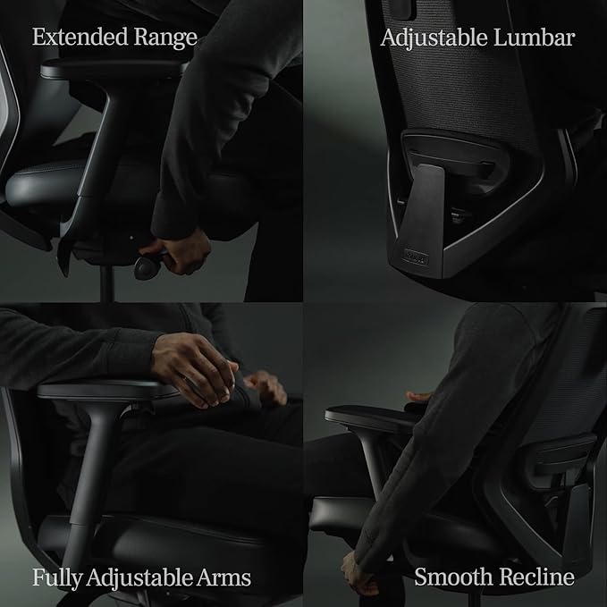 Branch Ergonomic Chair Pro - Mesh Office Chair with 14 Points of Adjustment - Height, Depth & Tilt Adjustable - 5D Armrests - Forward Tilt, Smooth Recline, and Lumbar Support - Black