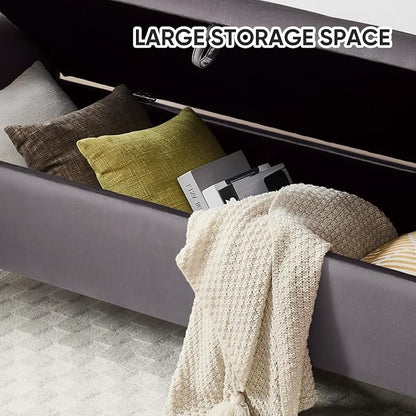 65" End of Bed Storage Bench, Modern Storage Benches for Foot with Tufted Button and Gold Legs, Upholstered Window Bedroom Benches with Armrests, Dark Grey