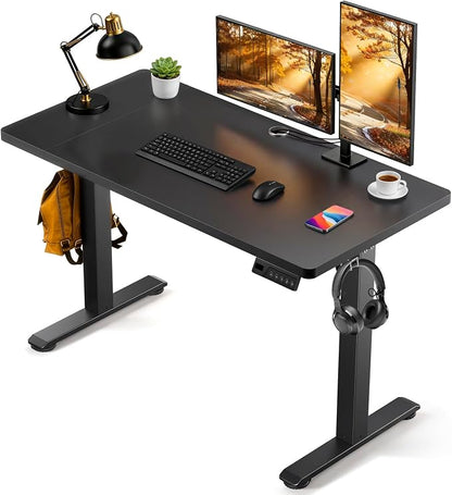 Standing Desk, 48 x 24 Inches Electric Height Adjustable Desk, Sit Stand up Desk, Memory Computer Home Office Gaming Desk with 3 Preset Heights, Wood Table Cable Management Box, Black