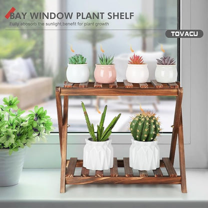 Small Plant Stand Shelf Indoor 2 Tier Desk Table Top Flower Succulent Stand | Wood Windowsill Plant Shelf Holder Desktop Mini Cactus Stands Rack for Kitchen,Window,Countertop (X-2 Design)