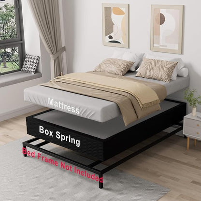 Tyndall 10 Inch Queen Size Box Spring, Heavy Duty Metal Box Spring for Queen Size Bed Mattress Foundation with Fabric Cover, Noise-Free, Non Slip, Easy Assembly