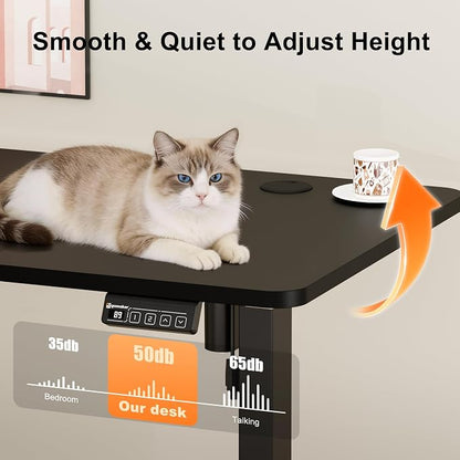 ERGOMAKER Electric Standing Desk, 47.2" x 23.6" Height Adjustable Sit Stand Desk with Splice Board for Home Office, Computer Desk Memory Preset (Black Frame, Black Desktop)