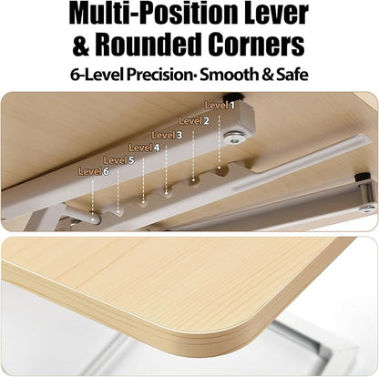 Omhuzsyo 24 in Height Adjustable Standing Desk Converter Stand Up Riser | Suitable for Use in Laptop and Single Monitor,Ergonomic Sit Stand Workstations for Home Office,Keyboard Stand for Desktop